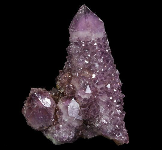 Dark Cactus Quartz (Amethyst) Crystal - South Africa #64248